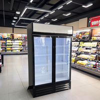 Réfrigérateur à boissons à double porte, congélateur à boissons, vitrine à boissons avec porte en verre