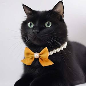 패션 진주 고양이 목걸이 고양이 액세서리 맞춤 수지 나비 매듭과 럭셔리 개 목걸이 - Product Image 6