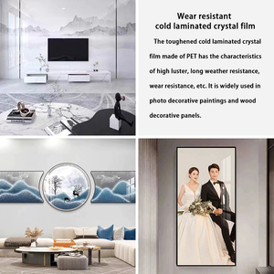 <span class=keywords><strong>Pellicola</strong></span> <span class=keywords><strong>trasparente</strong></span> di cristallo per animali domestici, <span class=keywords><strong>pellicola</strong></span> laminata a freddo autoadesiva, <span class=keywords><strong>pellicola</strong></span> <span class=keywords><strong>protettiva</strong></span> in cristallo temperato resistente ai graffi - Product Image 4