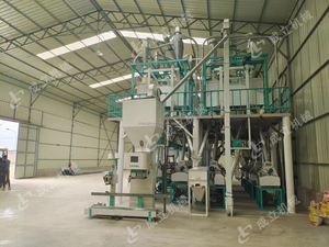 Equipo <span class=keywords><strong>de</strong></span> Procesamiento <span class=keywords><strong>de</strong></span> Granos <span class=keywords><strong>de</strong></span> 50 a 100 TPD, Planta <span class=keywords><strong>de</strong></span> Molino <span class=keywords><strong>de</strong></span> <span class=keywords><strong>Harina</strong></span>, Maquinaria para Sémola <span class=keywords><strong>de</strong></span> Maíz, Molino <span class=keywords><strong>de</strong></span> Martillos 220-415V - Product Image 6