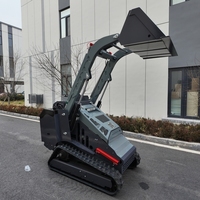 Konut İnşaatları için EPA Euro5 Sertifikalı Çok Fonksiyonlu Mini Skid Steer Yükleyici