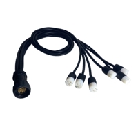 Cable de Conexión Pro Stage de 19 Pines, 2.5mm2, Socapex Macho a Edison Hembra