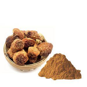 Порошок экстракта грибов 30% бета-глюкана - Product Image 1