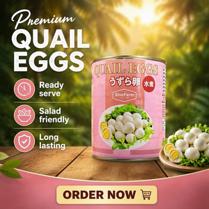 Programa de Distribución Regional en África, Nigeria, Kenia, Ghana, Tanzania, Proveedor de Carga de Contenedores, <span class=keywords><strong>Huevos</strong></span> de Codorniz Enlatados - Product Image 5