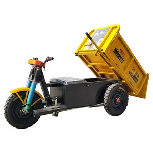 Camions de rames amovibles pour camions électriques, 30 kg, véhicule lourd, tricycle électrique