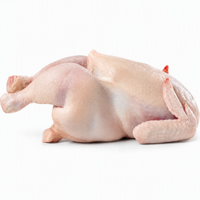 Fournisseur en gros de poulets entiers pour la restauration, les restaurants, les cuisines commerciales et la distribution en vrac