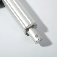 Actuador Lineal de Carrera Ajustable FY017 12V 24V 1200N IP65 Multiusos ODM Fabricante con 19 Años de Experiencia