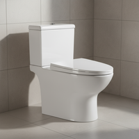 Ensemble de toilette moderne de haute qualité, articles sanitaires salle de bain deux pièces cuvette de toilette placard à eau Wc