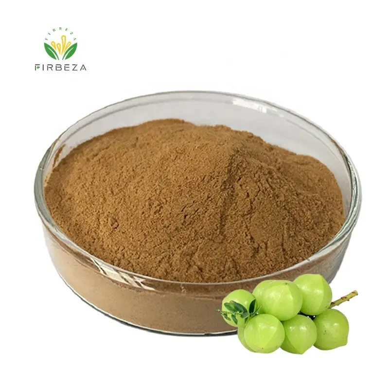 OEM Factory Price Supply 10:1 20:1 Phyllanthus Emblica Extract Powder