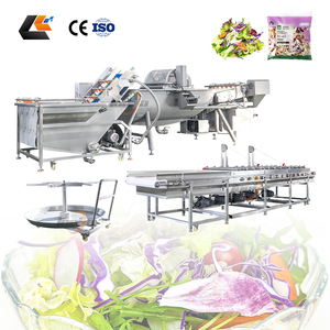 เครื่องล้างผักผลไม้ ผักกาดหอม ราคาโรงงาน เครื่องหั่นสลัด เครื่องทำสลัด สายการผลิตผักสลัด - Product Image 1