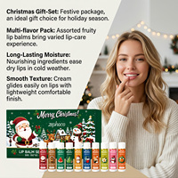 Coffret de baumes à lèvres de Noël, 10 pièces, saveur fruitée, hydratant, coffret cadeau de Noël pour lèvres sèches, cadeau de fête, soin des lèvres