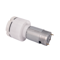 Petite pompe à Air électrique DC 6V 12V 24V haute tension automatique à petit diaphragme électrique pour masseur
