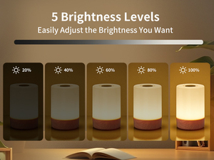 Modern Minimalist Touch Control LED Night <b>Light</b> Plastic Base <b>USB</b> <b>Rechargeable</b> CRI 90 2700K Warm White Bedroom Lamp - Product Image 4