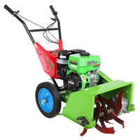 Machine à désherber mécanique Mini tondeuse à gazon agricole à essence