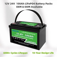 Batterie au lithium-fer-phosphate (LiFePO4) de grande capacité 12,8 V 100 Ah, durée de vie supérieure à 6 000 cycles, disponible en OEM et ODM