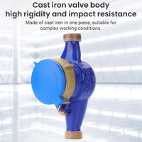 Compteur d'eau numérique domestique en fonte DN15 DN20 DN25 DN32 DN40 DN50 OEM ODM pour usage résidentiel