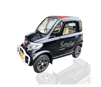 Voiture électrique miniature à quatre roues Everbright certifiée CE MDR & EEC, faible vitesse, avec une autonomie de moins de 100 km et une batterie de 30 kWh pour les personnes âgées