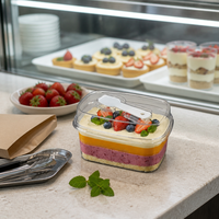 Boîte à dessert rectangulaire transparente en PET jetable avec cuillère en plastique intégrée, impression personnalisée, modèle GY-092 pour mousse, tiramisu, gâteau en couches