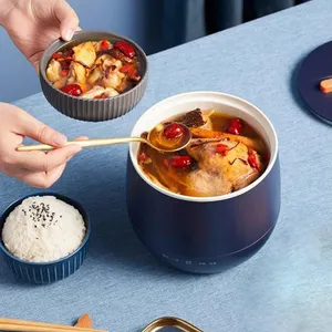 Nieuw Ontwerp Mini Cooker Smart Multi Cooker Anti-Aanbak Elektrische Koekenpan Multi 1.8l Voor 1-2 Personen