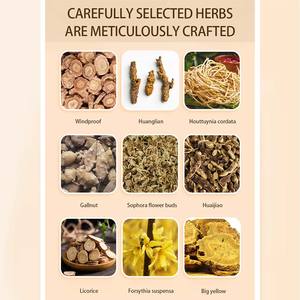 Creme para Remoção de Hemorroidas com Extrato Herbal Natural OEM/ODM com Fruto de Sophora Japonica para Alívio de Inchaço Anal, Sangramento e Anti-Coceira - Product Image 4