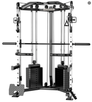 Station de musculation multifonctionnelle professionnelle avec cage de puissance et machine Smith, pile de poids de 70 kg pour la musculation, exercices des bras, triceps et biceps