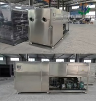 Automatische groente- en fruitvriesdroogmachine motor voedselveilig hoge efficiëntie energiebesparend voor bloemen op maat gemaakt