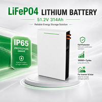 Batterie au lithium LiFePO4 51,2 V 16 kWh 314 Ah, prix d'usine compétitif, idéale pour les importateurs et les revendeurs B2B de stockage d'énergie solaire