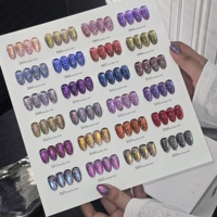 ZRKGEL Nail Suppliers DANNY COLL – Kit de vernis gel multi-chrome effet œil de chat 24 couleurs, paillettes hivernales foncées, sans TPO ni HEMA, vente en gros usine