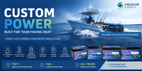 Batería Marina LiFePO4 de 100Ah 12V 200Ah, Batería de Litio de Ciclo Profundo para Barcos de Pesca, Motor de Arrastre, Barco Eléctrico, Fabricante OEM