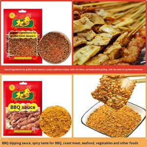 Set di condimenti per Barbecue Qishen uso domestico <span class=keywords><strong>Kebab</strong></span> ali grigliate salsa piccante al cumino - Product Image 2