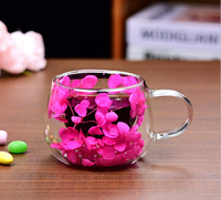 Mug en verre borosilicate soufflé à la main à double paroi avec intercouche de fleurs séchées, résistant à la chaleur, 130 ml, anti-fuite