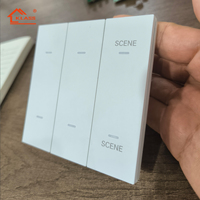 Interruptor Táctil Inteligente de Pared de 1 Canal y 1 Vía para Reino Unido con WiFi ZigBee 10A, Certificado CEC, Panel de Vidrio AG