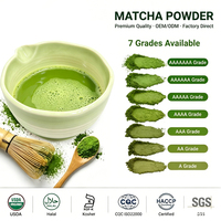 Poudre de Matcha Cérémonial Bio Verte en Gros, Marque Privée OEM, en Boîte Métallique