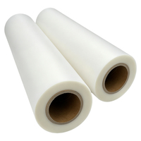 Jual Langsung Pabrik Cold Peel 30cm 60CM Matte PET Heat Transfer Release Film 75/100UM Printing PET DTFfilm untuk Printer DTF