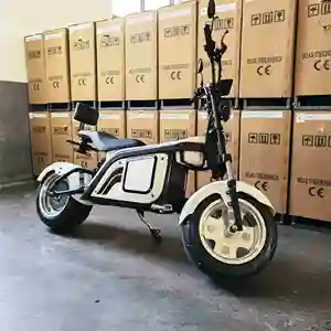 meilleur électrique tricycle adultes Suppliers-Citycoco — Tricycle électrique au Design Cool pour adultes, cadeau idéal, EEC/COC