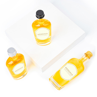 Emballage personnalisé en verre pour flacon roll-on de 50 ml pour spiritueux, avec un design de forme unique, compatible avec la vodka, le whisky et le vin