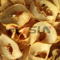 Automatische fruitdroogmachine voor appel, selderij, aardbei, bosbes, framboos, grote capaciteit dehydrator