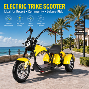 Scooter à trois roues 800W 60V avec batterie amovible pour adultes Q26, comparé aux scooters traditionnels à deux roues, le Stru - Product Image 1