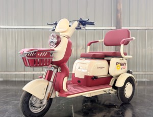 Venta de Fábrica: Nuevo Triciclo Eléctrico Compacto de 3 Ruedas, 48V 20Ah, para Mujeres, Niños y 2 Pasajeros, Modelo 2026 - Product Image 1