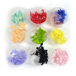 Hortensia <span class=keywords><strong>de</strong></span> haute qualité, pièces, invitations <span class=keywords><strong>de</strong></span> petites feuilles, assemblage manuel <span class=keywords><strong>de</strong></span> plantes, <span class=keywords><strong>fleurs</strong></span> séchées, DIY - Product Image 3