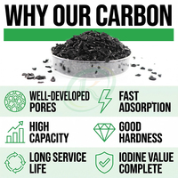 Charbon actif naturel en coque de noix de coco pour la purification de l'air, l'élimination des odeurs, l'adsorption des COV industriels, charbon actif