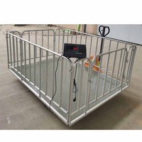 Báscula Digital de Plataforma de Alta Precisión, Construcción de Acero al Carbono, Pantalla LED/LCD, 1.5*2m, OEM/ODM, Certificación CE