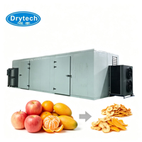 Déshydrateur de fruits industriel multifonctionnel à installation facile pour avocat, fraise, prune