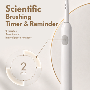 PRITECH <span class=keywords><strong>Brosse</strong></span> à dents électrique rechargeable compatible avec les têtes <span class=keywords><strong>Oral</strong></span> <span class=keywords><strong>B</strong></span>, étanche IPX7, 3 modes, avec 2 recharges DuPont - Product Image 4