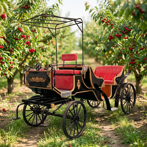 Carruajes Reales al Por Mayor a Precio de Fábrica, Carruaje Eléctrico sin Caballos de Cenicienta, Carroza Turística de Princesa en Venta - Product Image 1