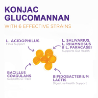 Gommes de Konjac Glucomannan de marque privée pour adultes adolescents Gommes amincissantes à l'extrait de racine de Konjac pour brûler les graisses