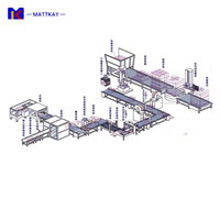 Ligne de production d'emballage entièrement automatique / Solution d'emballage comprenant le cartonnage + l'emballage + le scellage + le contrôle du poids + l'étiquetage + le palettisation