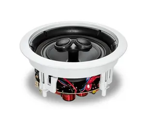 HiVi Swan 6 Inch 100W New design Professional music manufacturer in-ceiling speaker with Impedance 8Ohm