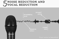 Microphone sans fil professionnel haut de gamme Soundmark G-25, alimentation par piles AA, technologie de capteur infrarouge, connecteur XLR, alimentation CC
