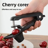 Décortiqueur manuel en acier inoxydable pour usage domestique, pour dattes rouges, jujubes séchées, cerises, aubépines et grandes cerises